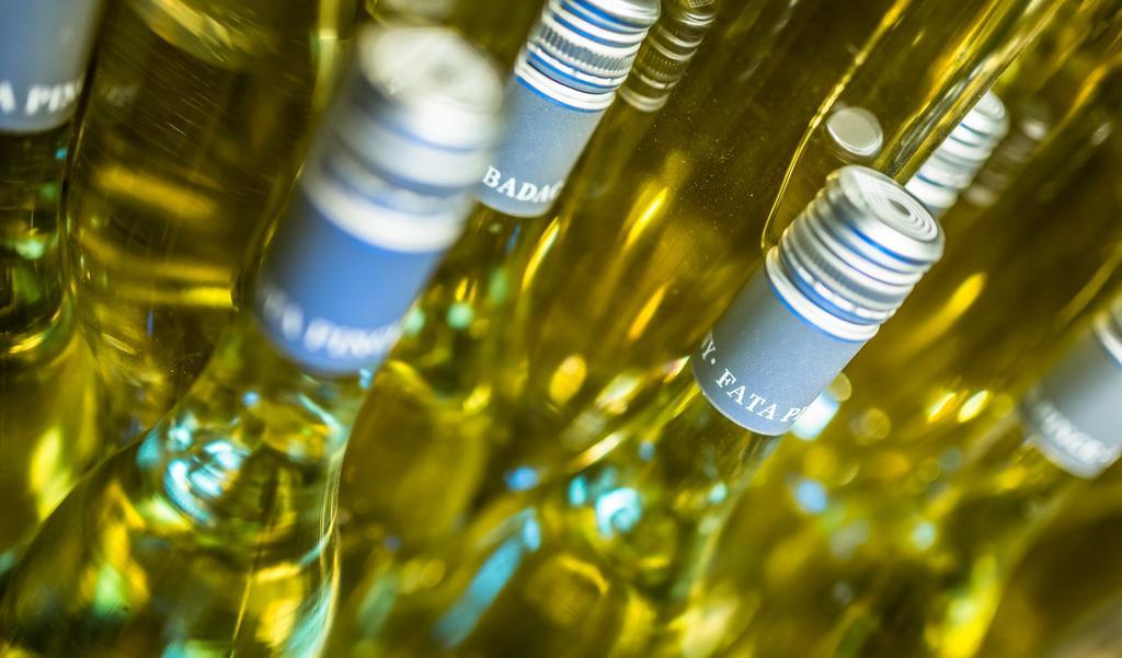 Borbaratok Panzio Hotel Badacsonytomaj Eksteriør billede